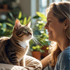 Why Does My Cat Stare At Me? Unlocking the Secrets of Feline Gazes