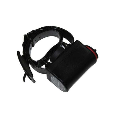 D.T. Systems 190-DT Big Dog Bark Collar