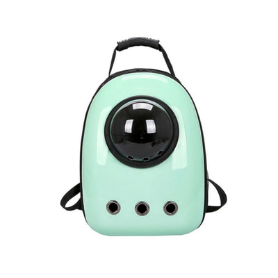 7_e31190c4-bb84-469f-ad56-e278cc38e29f2 of 16