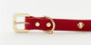 Golden Spike Red Collar