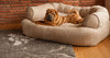AG-Snoozer-163_30991bef-2b9b-4a79-8832-00f0695e7d8b9 of 10