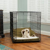 CozyCrate_Forgiveness_Environment-OliveMicro_SQ-198 of 14