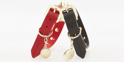 DDU_black_thumb_7_18835624-deb4-427b-b7c9-a29e5c602f436 of 7