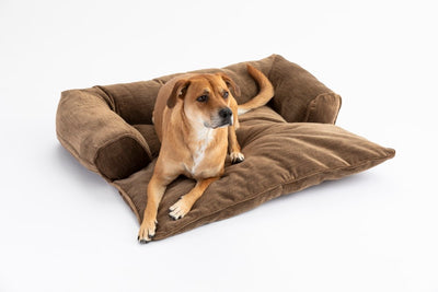 Doggy-Daybed-Support-Bolsters-Image2_276a08e5-a9d4-4d80-8a28-1c4cd8f3cc606 of 11
