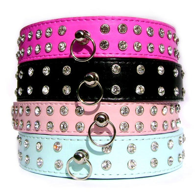Double_Row_Dog_Collar_Collection_271c6b36-d12e-4c37-9722-9dab86a47a6e1 of 5