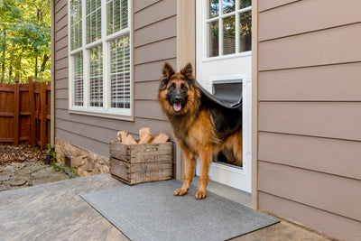 PetSafe ZPA19-16855 Extreme Weather Aluminum Pet Door - X large White Open view