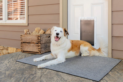 PetSafe ZPA19-16854 Extreme Weather Aluminum Pet Door - Large White Closed view