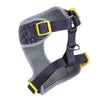 HARGYCSOFT-L-22 of 3