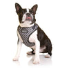 DOOG HARN3SOFT-XS Neoflex Dog Harness Pongo - 2 of 2