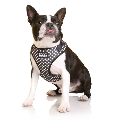 DOOG HARN3SOFT-XS Neoflex Dog Harness Pongo - 2 of 2
