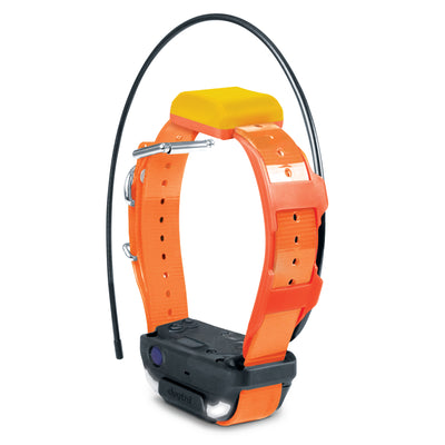 Dogtra PATHFINDER2-TRX-RX-ORANGE Pathfinder2 TRX Extra Receiver Collar