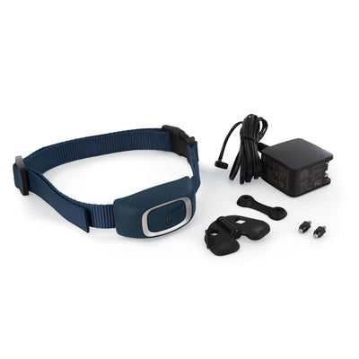 PetSafe PDT00-15748 Smart Phone Dog Remote Trainer