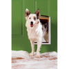 PetSafe PPA00-10985 Extreme Weather Pet Door - Medium White Main View