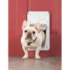 PetSafe PPA11-10711 SmartDoor Dog Door - Large White with dog