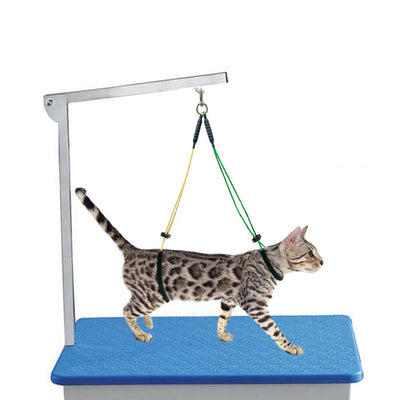 Pet-Dog-Cat-Grooming-Loop-Table-Arm-Body-Noose-Holder-Restraint-Rope-Harness-For-Dogs-Cats_c360e845-c17e-446a-aa03-59fc1a6c552e5 of 8Click image to set focal point