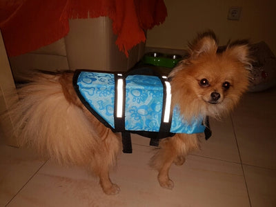 Pet Dog Life Jacket Safety Clothes for Pet Life Blue Design