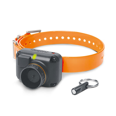 Dogtra STB-BEEPER-BEEP STB Beeper Collar Beeper Version