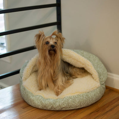 Show-Dog-Orthopedic-Cozy-Cave-7_bd35efe0-20c7-42c6-8486-6e26bc684fd610 of 10