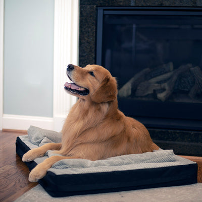 Snoozer-9329_Travel_Mate__LUXURY_LIFESTYLE_SQUARE3 of 6