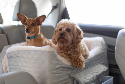 Snoozer-9608_066694fb-59cb-47cc-ba7b-0128a959f7873 of 7