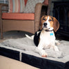 Snoozer-9920_BED_BAG_LUXURY_LIFESTYLE_PATIO_Square_73b8aef5-9422-4d37-9f47-f59c5ac8f1772 of 6