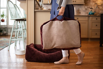 Snoozer-Travel-Along_19128901-a7b1-4792-ab26-a959f7ae3a933 of 10