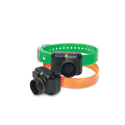 Dogtra TB-DUAL-2DOG Train/Beep 1.5 Mile 2 Dog Remote Trainer Collars