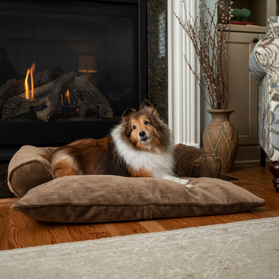 Untitled-design-36_6f45edbc-ea5a-4703-95d8-45a907175f003 of 11