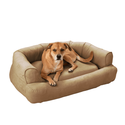 buck_skin-24_cb417cbb-171c-4ef4-86e8-f0b212364e7c5 of 9