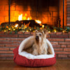 cozy-cave-red_e0612365-4039-4605-8633-7a08570dc9c25 of 8