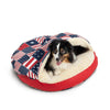 cozy-cave-starpatch-8_f6b4f2e4-f674-4e7a-ac12-acf5f77e5e3d1 of 6