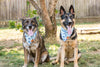 Adjustable Dog bandana