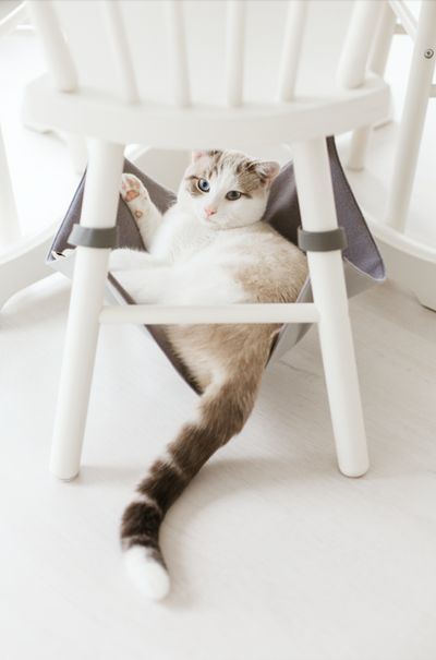 data_56308f78-e619-42a8-84fc-93685092505e6 of 6