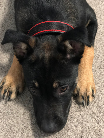 data_bf69befe-756f-49b0-9ec6-8c342669893c3 of 4