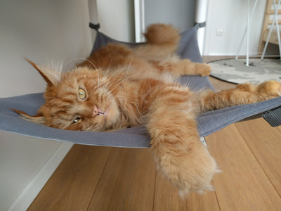 data_c26dac88-f2d8-4504-a545-bdc5a38275861 of 6