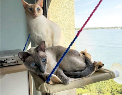 data_d59d1e52-b0fc-4048-927c-ca995adae3fb2 of 6