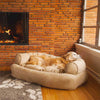 dog-sofa-overstuffed-large-1121-AFTER_0f3ddb6f-7ea2-415f-9d7a-a6e13ad0c2fd3 of 10