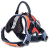 'Scorpion' Sporty High-Performance Free-Range Dog Harness red main