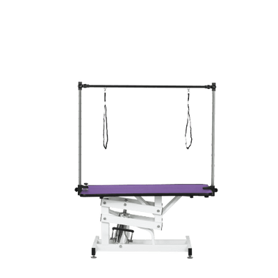 42.5INCH HYDRAULIC PET GROOMING TABLE WITH "H" ARM PURPLE - 9 of 10