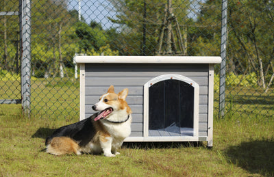 Medium Wooden Outdoor Dog House, many pet size