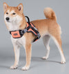 'Scorpion' Sporty High-Performance Free-Range Dog Harness red on dog