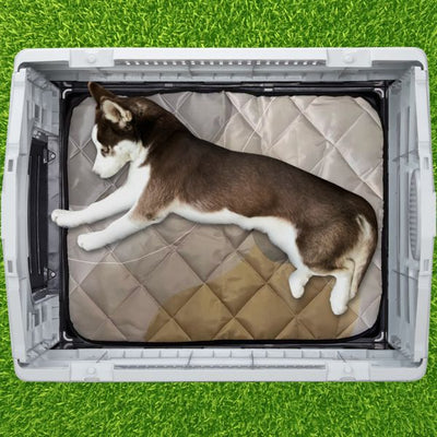 33 inch Large Plastic Dog House interior view