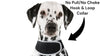 Collar Mount GPS Dog Tracker Waterproof Realtime Wireless Pet Monitor Size: XXL - 13 of 19