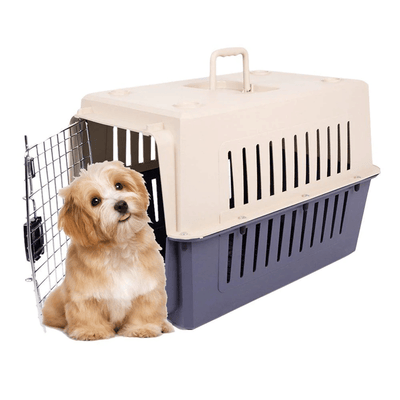 Plastic Cat & Dog Carrier Cage with Chrome Door Portable Pet Box Airline Approved, Medium, Blue/Red - 1 of 11
