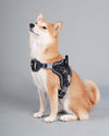 'Scorpion' Sporty High-Performance Free-Range Dog Harness black on dog