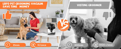 Dog Grooming Kit Low Noise Wholesale Pet Hair Vacuum Cleaner Dog Dryer Removal Brush with 6 Pet Grooming Tools - 8 of 20