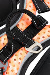 'Scorpion' Sporty High-Performance Free-Range Dog Harness red buckle