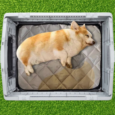 26 inch Plastic Dog House, interior with dog