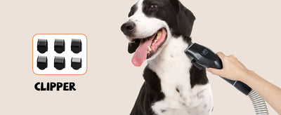 Dog Grooming Kit Low Noise Wholesale Pet Hair Vacuum Cleaner Dog Dryer Removal Brush with 6 Pet Grooming Tools - 15 of 20
