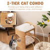 Cat Furniture 2-Tier Cute Small Cat Tree for Indoor